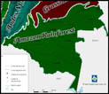 Amazon rain forest
