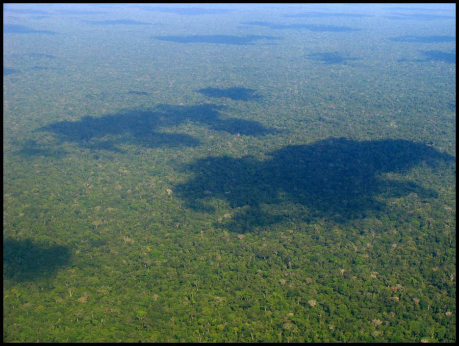 A place of endless jungle...