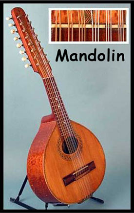 Mandolin