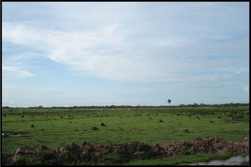 Un lugar donde el horizonte se confunde con el cielo en la lejan&iacute;a