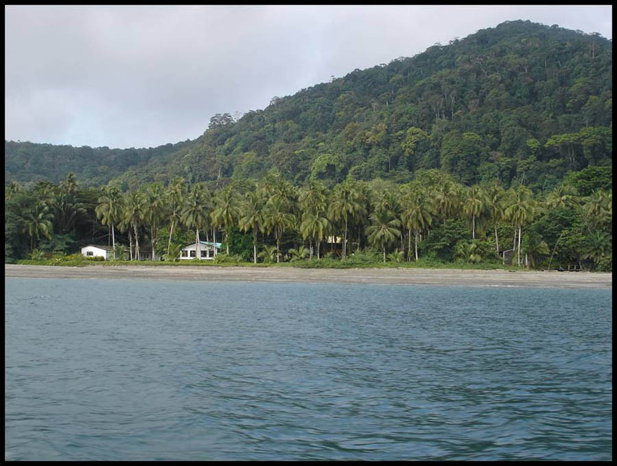 A place where the jungle meets the ocean...
