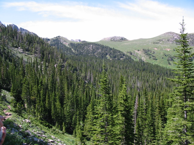 Sacajewea Peak - Bridger Mtn. Range 7-7-02 (next 28 pics)
