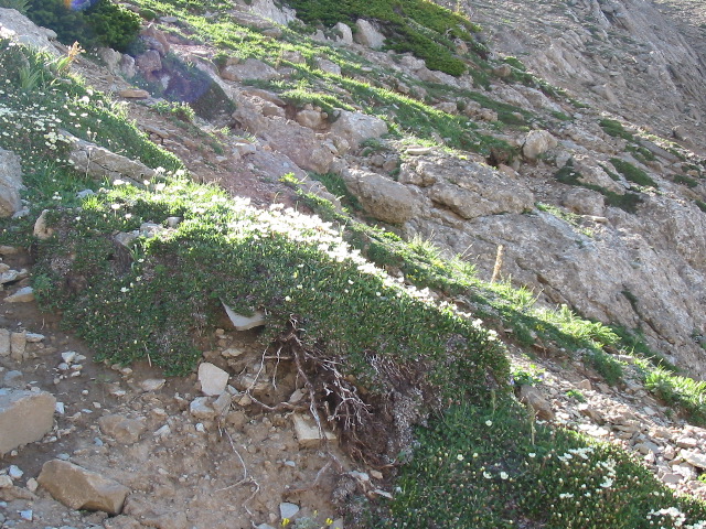 102-0242_IMG