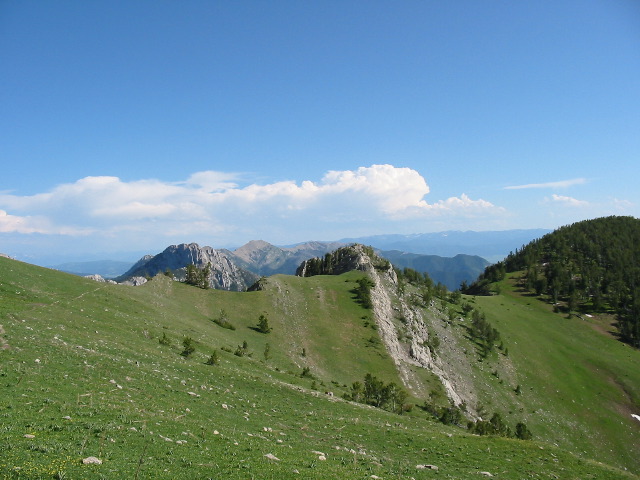 102-0247_IMG