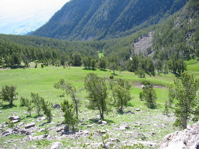 102-0253_IMG