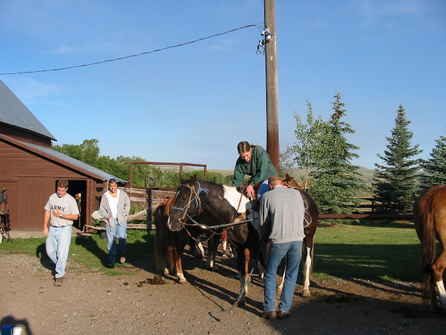 Paul, Brian and River on the horse