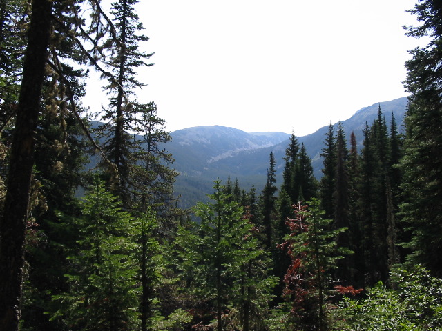 104-0460_IMG