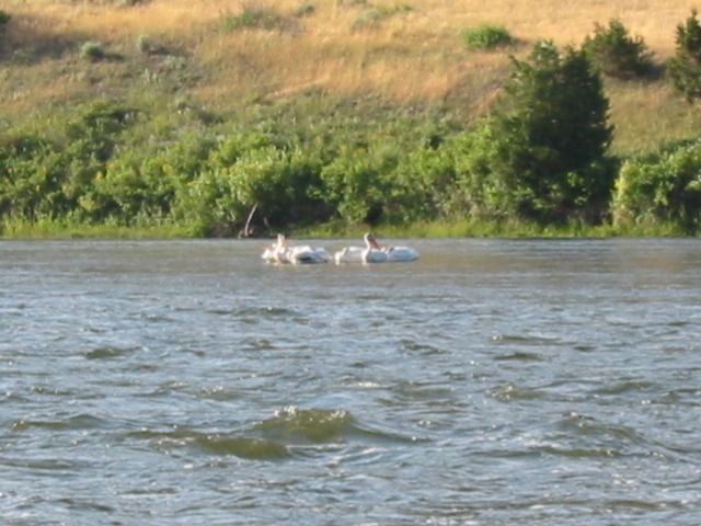 104-0417_IMG