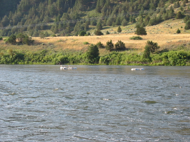 104-0419_IMG