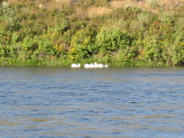 104-0420_IMG