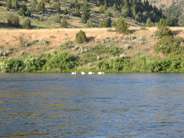 104-0422_IMG