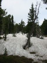 101-0151_IMG