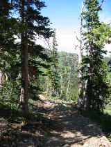 102-0231_IMG