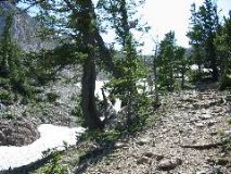 102-0232_IMG