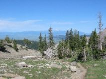 102-0235_IMG