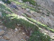 102-0242_IMG