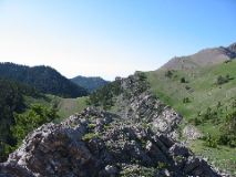 102-0251_IMG