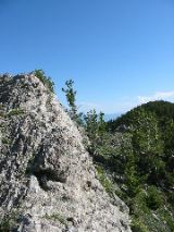 102-0252_IMG