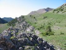 102-0254_IMG