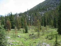 100-0052_IMG