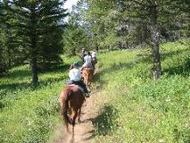 104-0441_IMG