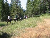 104-0442_IMG