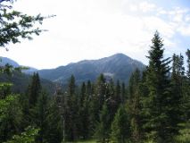 104-0446_IMG