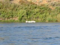 104-0418_IMG