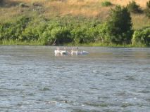 104-0421_IMG