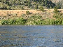 104-0422_IMG