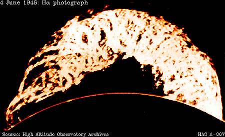 [Grand Daddy Prominence]