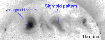 a sample image of the sun showing sigmoid and non-sigmoidmagnetic structures