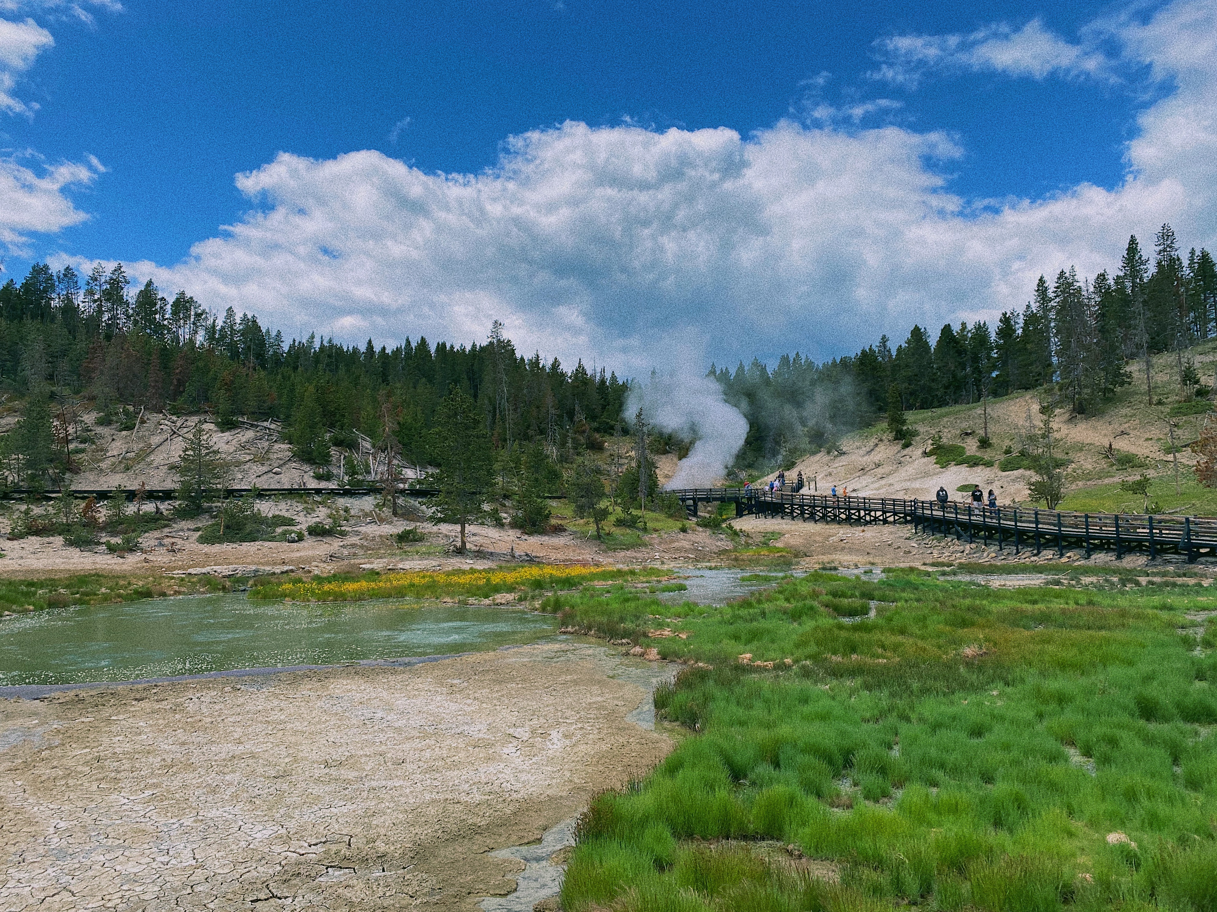 Yellowstone 6